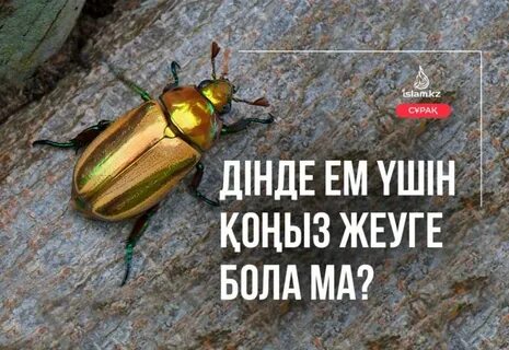 Күзетші бастықтың әйелін трахает (Бразерс)