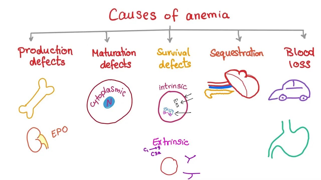 Анемия 2024. Causes of anemia. Sickle Cell anemia Mnemonic. Causes of Iron deficiency anemia images.