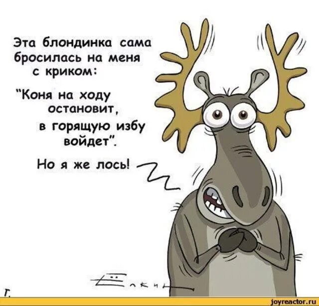 Добрый вечер про лося. Шутки про оленей. Анекдот про оленя. Олень прикол. Смешные шутки про оленей.