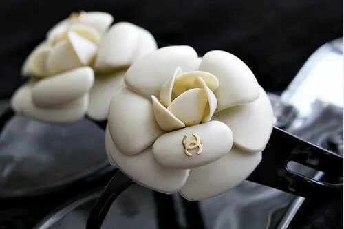 Chanel reve de camelia illuminating powder. Шанель косметичка камелия. Белая камелия шанель. Камелия chanel брошь. Chanel camellia.