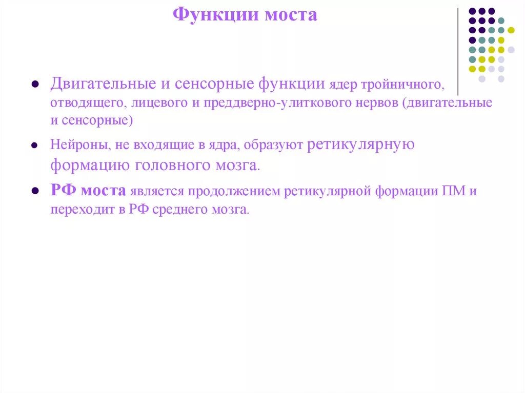 Функции моста головного мозга кратко. Функции моста головного мозга физиология. Функции моста по биологии. Функции моста мозга человека кратко.