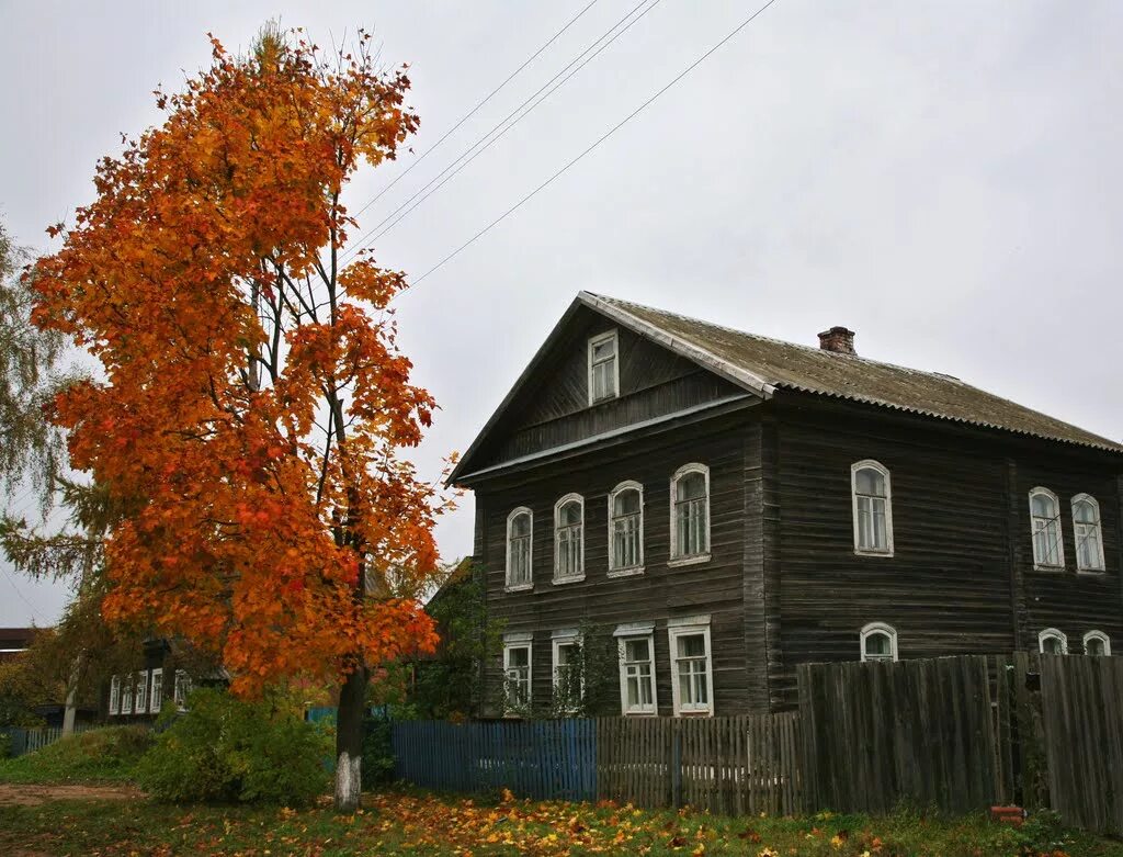 Г хвойная. П Крестцы Новгородской области. Деревня Крестцы Новгородская область. Поселок Крестцы Новгородская Губерния. Музей пос Крестцы Новгородская.