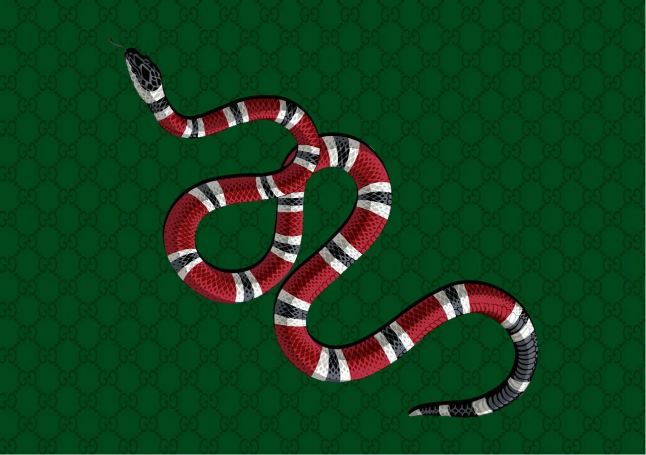 Snake snake go