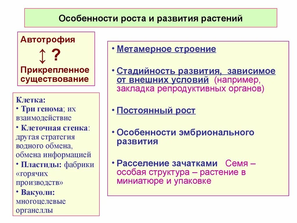 В чем особенность роста у растений. Особенности роста и развития растений. Особенности роста и развития. Рост и развитие растений характеристика. Критерии развития растений.