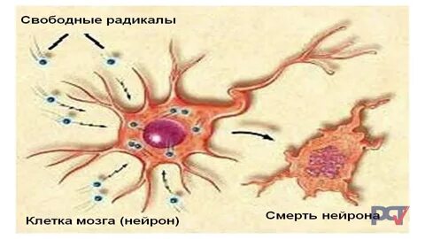 Поражения нейронов