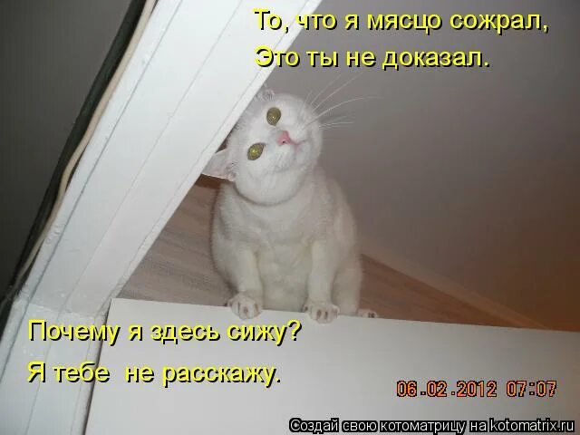 чай будешь мем. нео ты избранный. я здесь фото. шутки про курсовую работу. мемы про избранного.