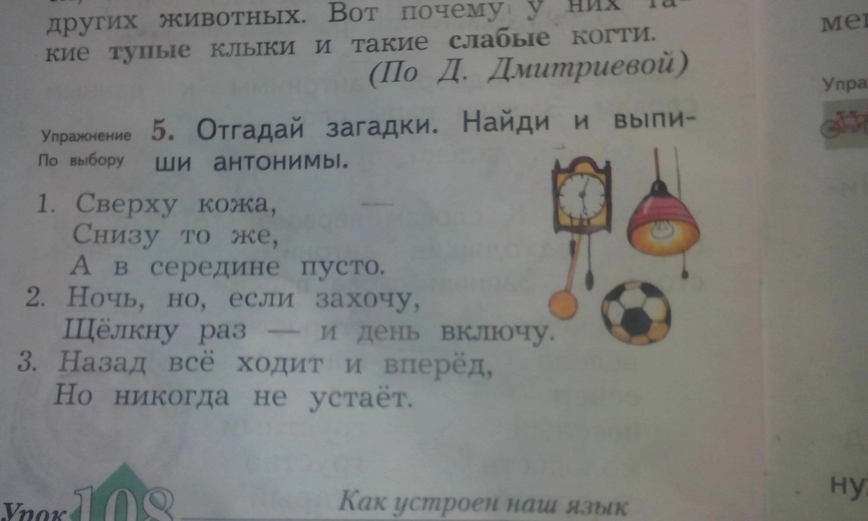 Сверху кожа снизу. Отгадай загадки Найди антонимы. Отгадай загадки Найди и выпиши антонимы. Отгадай загадки Найди и выпиши антонимы сверху кожа снизу тоже. Отгадай загадки. Айдм и выпигиантонимы.