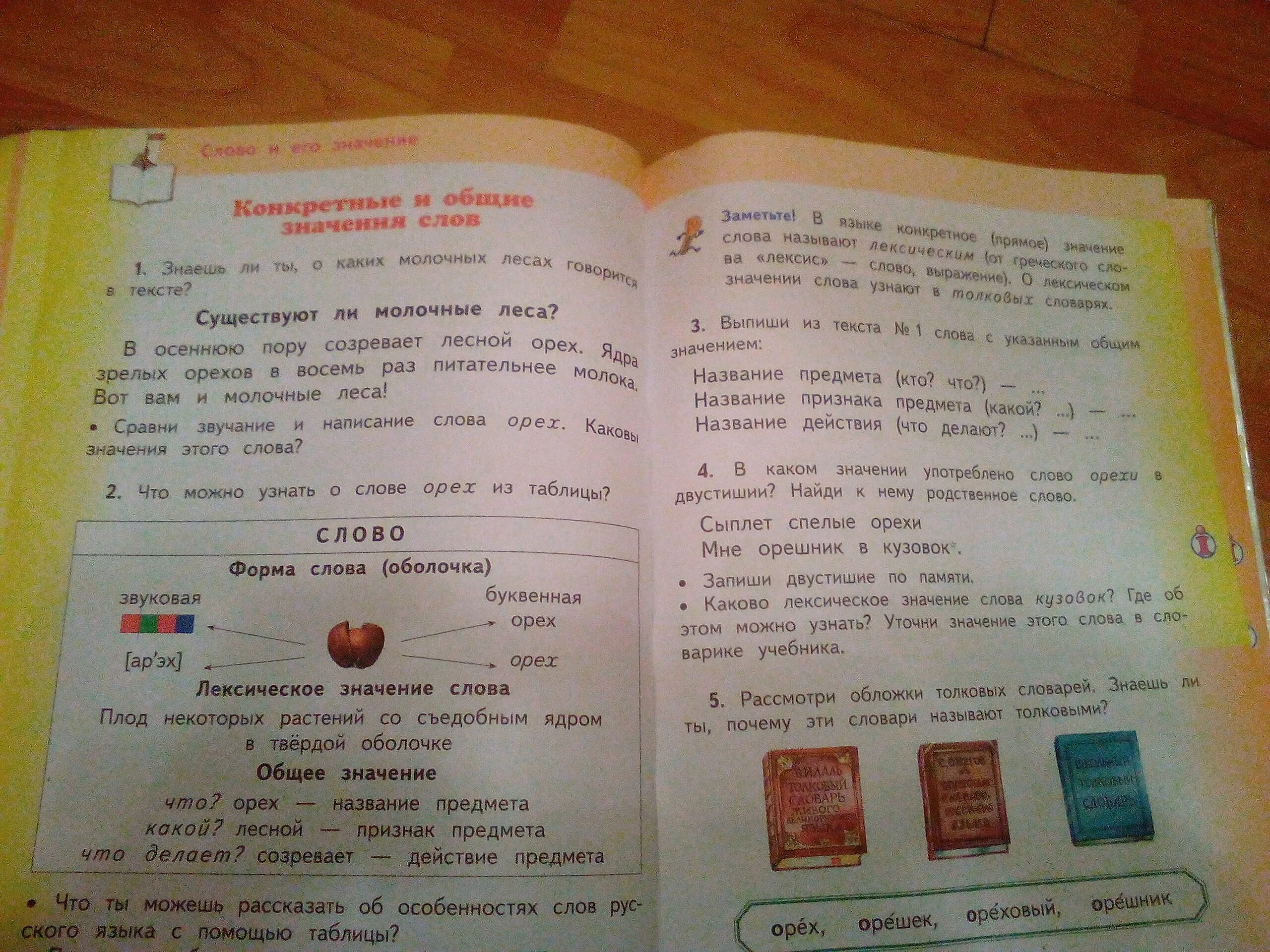 Предложение со словом орех. Орех родственные слова. Составить предложение со словом орех. Предложение со словом орешек.