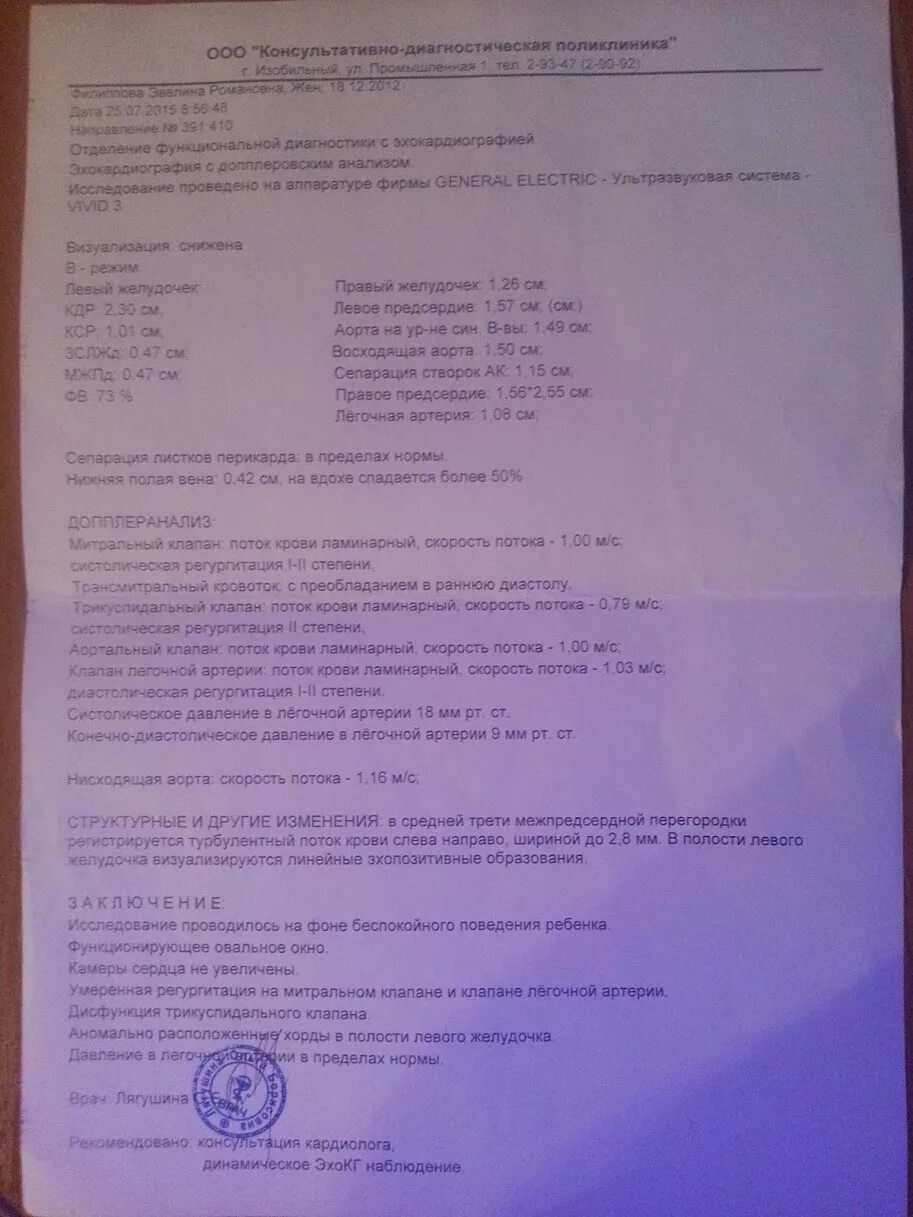 Протокол эхокг. Протокол эхокг