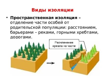 Форма изоляции