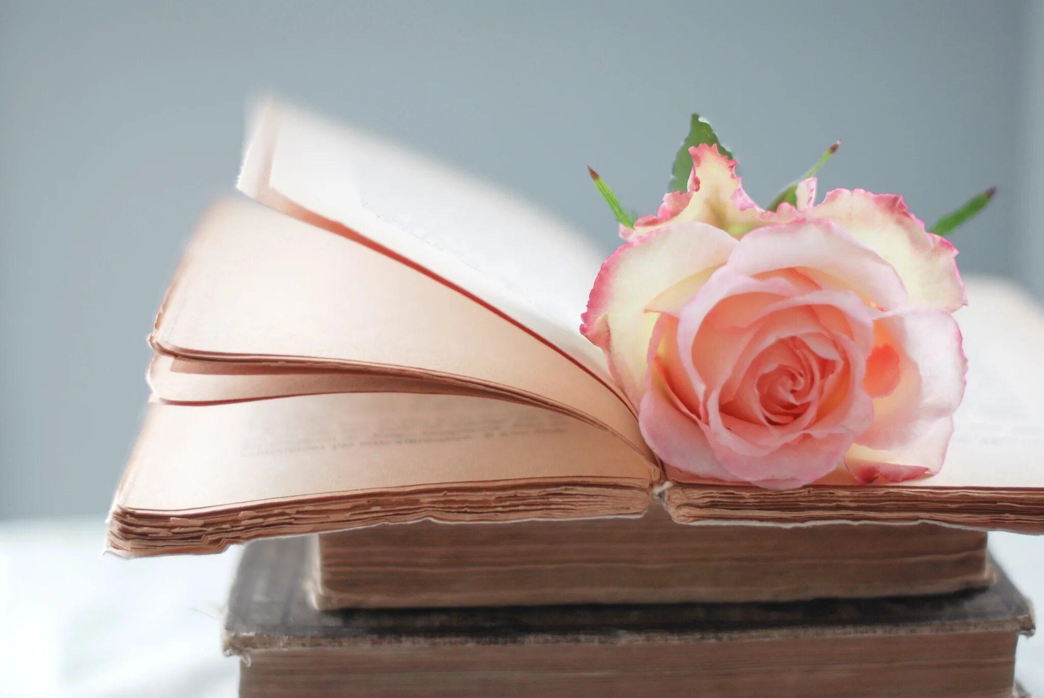 Поэзия картинки красивые. Книга цветы. Красивый фон с книгами. Книга про цвет.