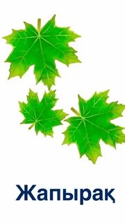 Porn Brothers онлайн көру