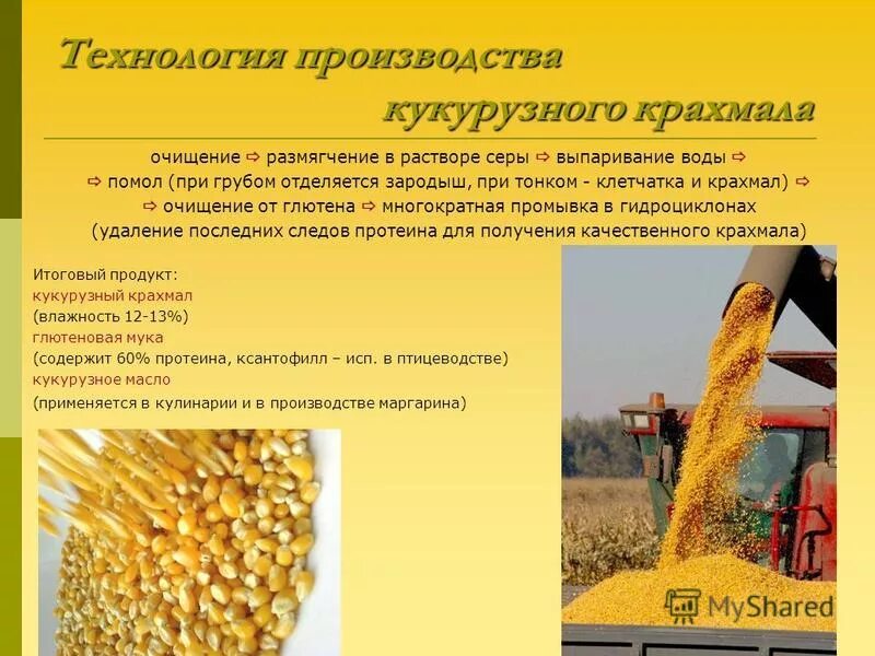 принципиальную схему производства модифицированного крахмала. промышленная переработка крахмала. схема технологического процесса производства крахмала. схема процесса производства крахмала картофельного. производство кукурузного крахмала схема.