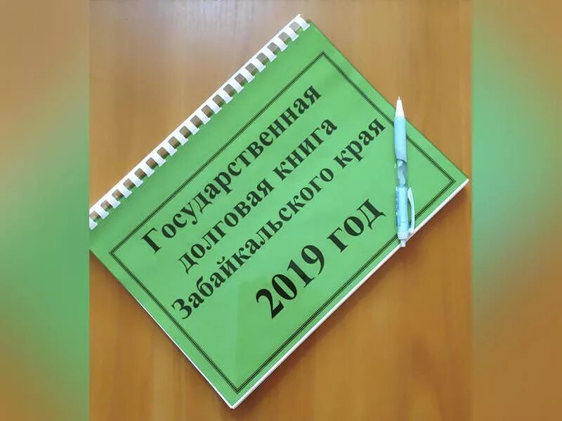 Муниципальной долговой книги. Долговая книга. Государственная долговая книга фото. Задолженности книг. Долговая книга муниципального образования.