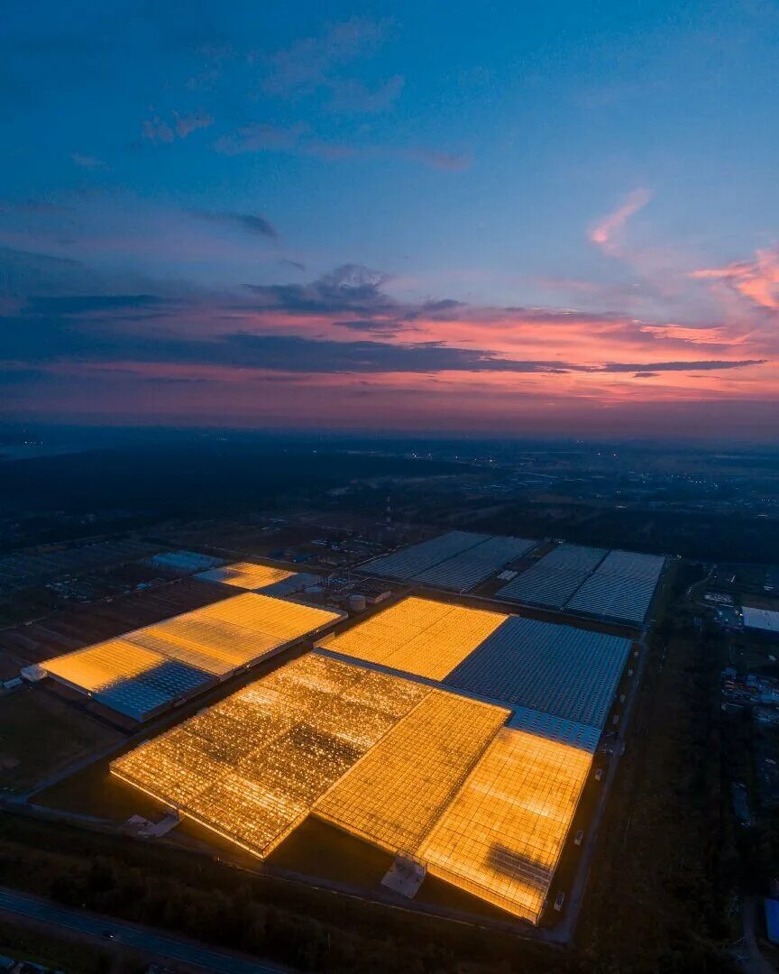 Теплицы green house greenhouse теплицы. Магазин выборжец в колтушах. Выборжец агрофирма спб. Гидропонная ферма. Автоматизация теплицы.