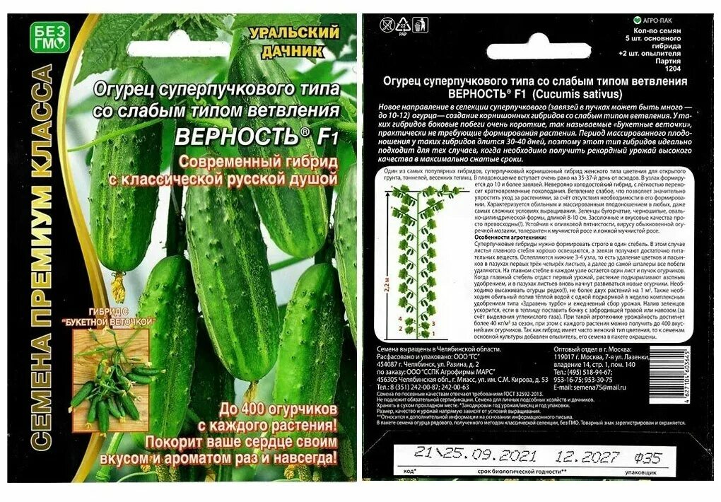 огурец верность f1 ® (уд) е/п б/ф. сорт огурцов верность. партенокарпический огурец длиннохвостый. огурец сибирский суперпучковый f1. семена огурцов квирк.