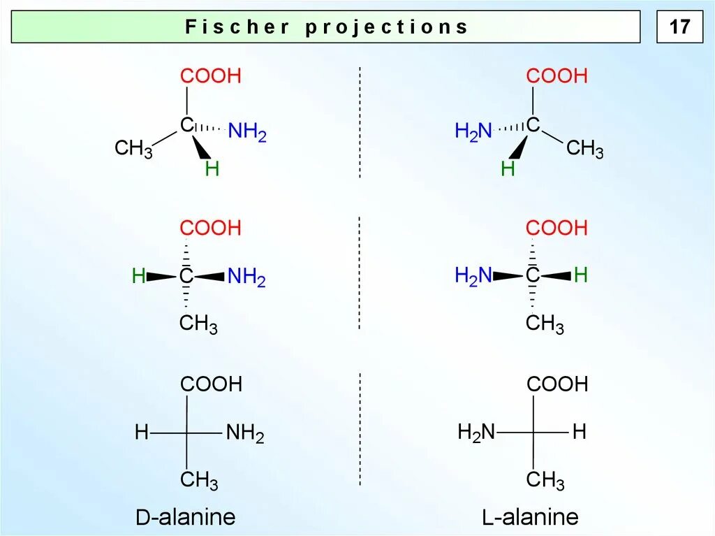 Аланин и вода реакция. Соединение аланина и глицина. Аланин плюс аланин. Аланин HCL.