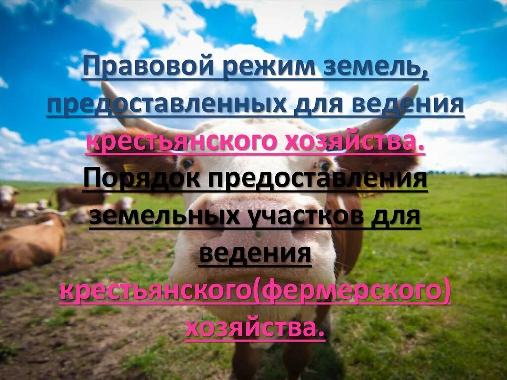 Земля личного крестьянского хозяйства. Ижс снт отличия. Земельный участок для ведения личного подсобного хозяйства. Статус земли лпх. Лпх и сельская ипотека.