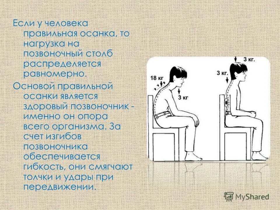 Как правильно держать спину. Нагрузка на позвоночник. Что такое осевые нагрузки на шейный отдел позвоночника.