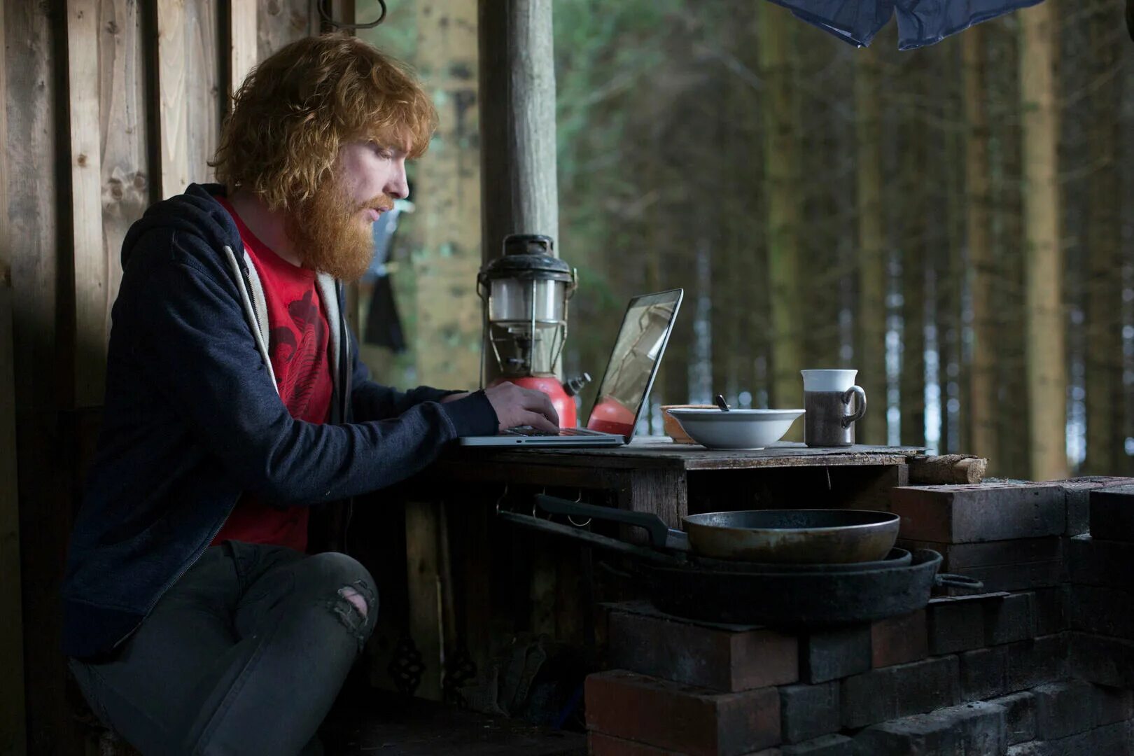 фрэнк отзывы