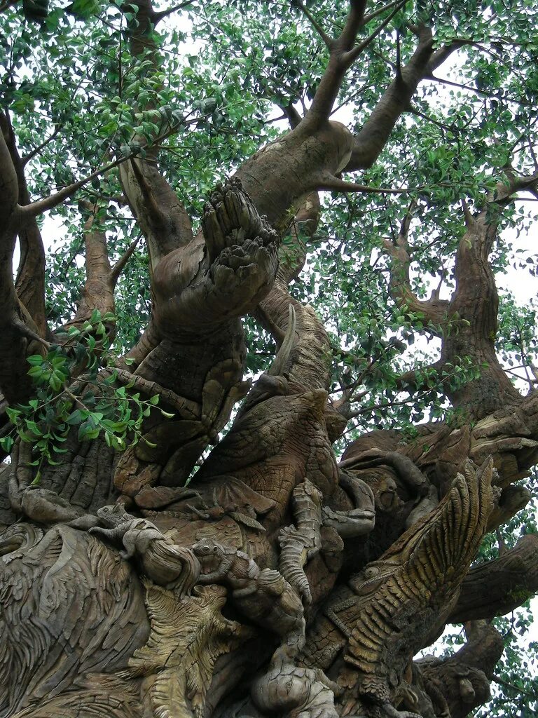 Tree master