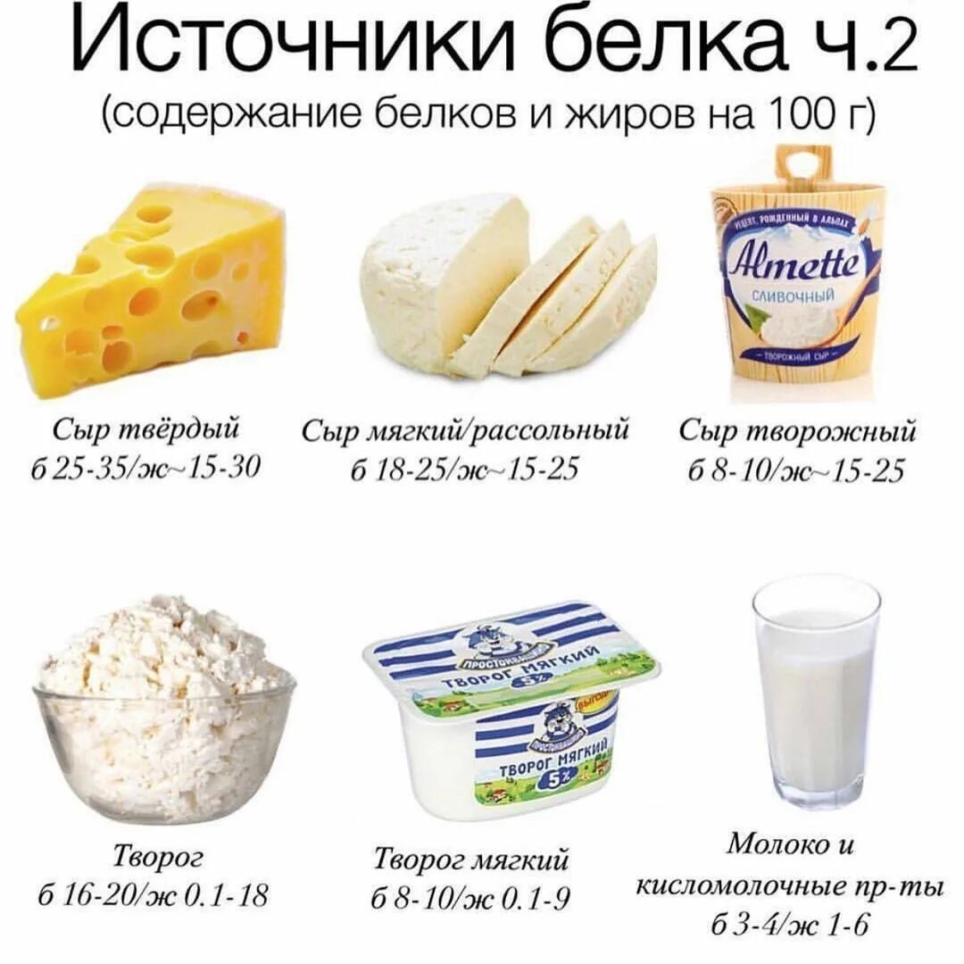 Какой сыр можно есть. Источники белка и жиров. Сыр с большим содержанием белка. Белок в сыре. Творог источник белка.