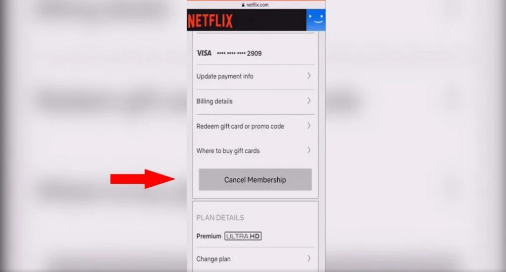 Как оплатить нетфликс. Netflix подписка. netflix планы подписок. нетфликс базовая подписка.