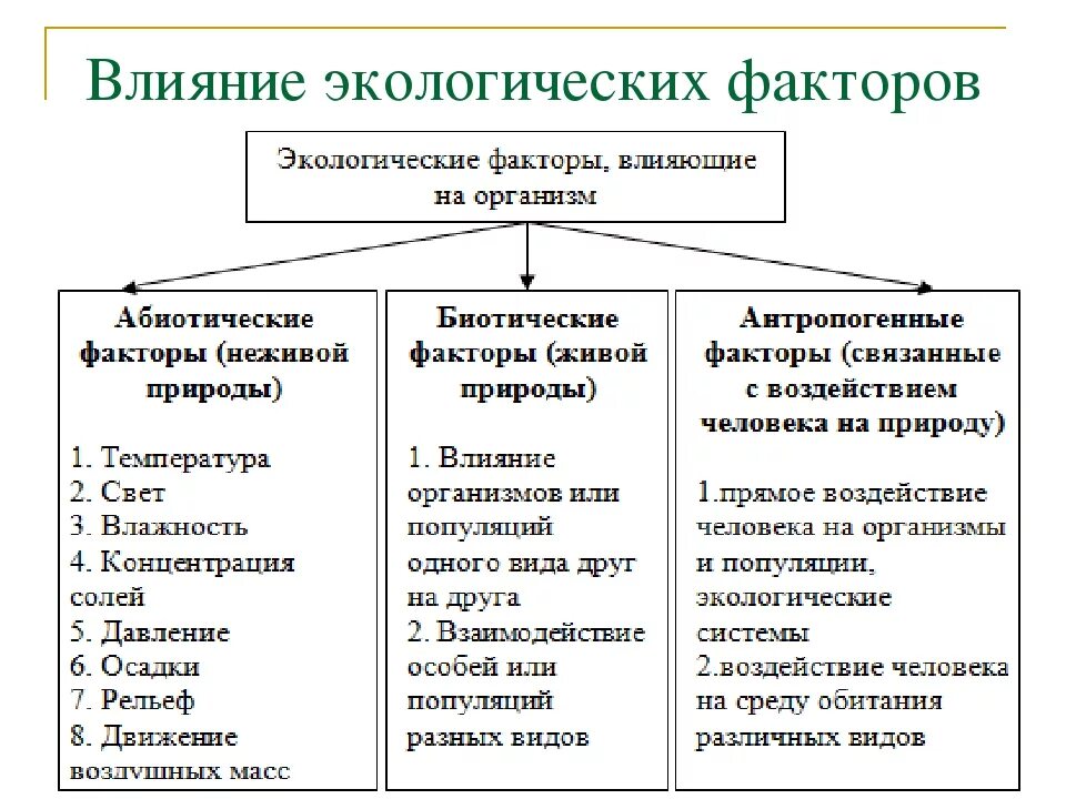 Факторы среды биология 11 класс. Абиотический фактор это в экологии. Биотические и абиотические факторы адаптации. Фактор среды 1) биотические 2) абиотические. Влияние биотических факторов на окружающую среду.