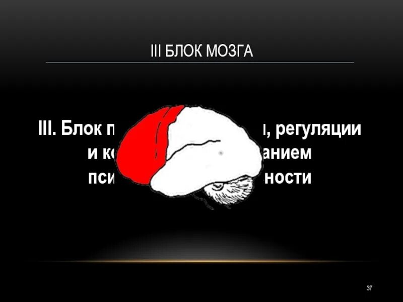 Блок программирования регуляции и контроля. Блок программирования регуляции и контроля
