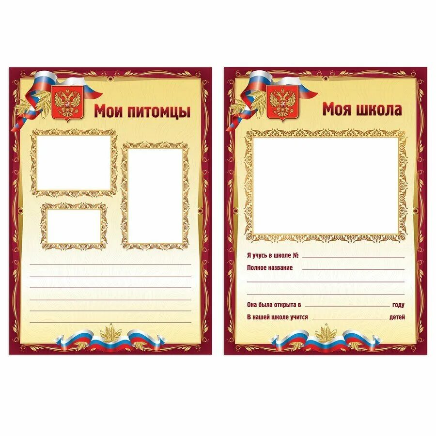 Портфолио это определение. Предложение портфолио. Портфолио как метод оценивания. Оформление портфолио. Портфолио начальная школа.