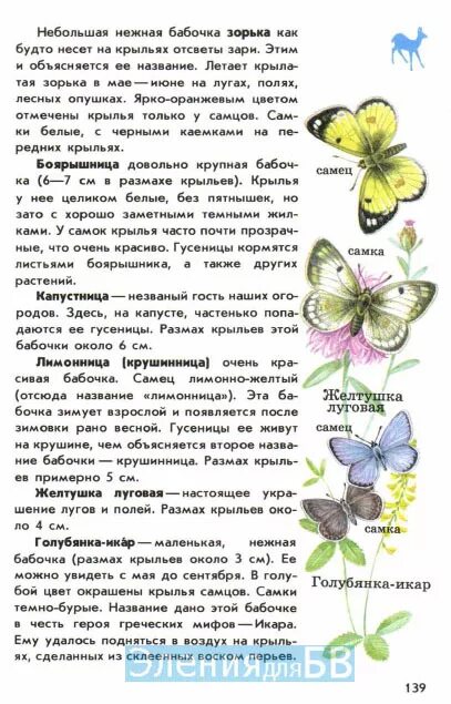 Бабочки Адмирал атлас определитель от земли до неба 2 класс. Атлас-определитель от земли до неба 2 класс бабочки. Атлас-определитель 2 класс окружающий мир бабочки. Атлас определитель Плешаков бабочки.