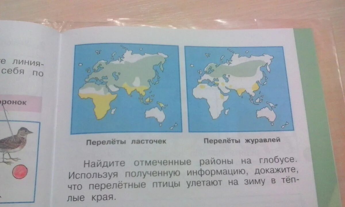 Что такое карта 2 класс окружающий мир. Перелеты ласточек и журавлей. Перелеты ласточек окружающий мир. Направление осенних перелетов ласточек и журавлей. Окружающий мир перелеты ласточек и журавлей.