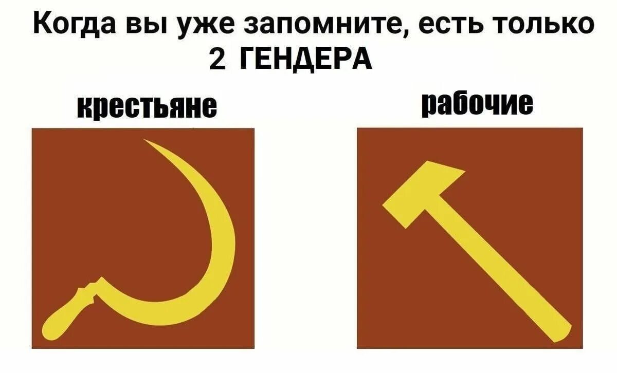 Существует только 2 гендера. Есть только два гендера Мем. Когда вы уже запомните есть только 2 гендера. Шутки про два гендера. Запомни есть 2 типа людей текст