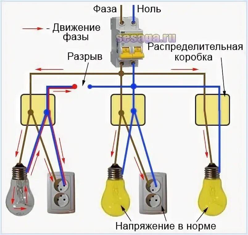 Разрыв фаз. Схема соединения электропроводки в распределительных коробках. Схема электропроводки на 2 лампочки и 2 розетки. Схема подключения распаечной коробки освещения. Схема соединений проводов в распред коробках.