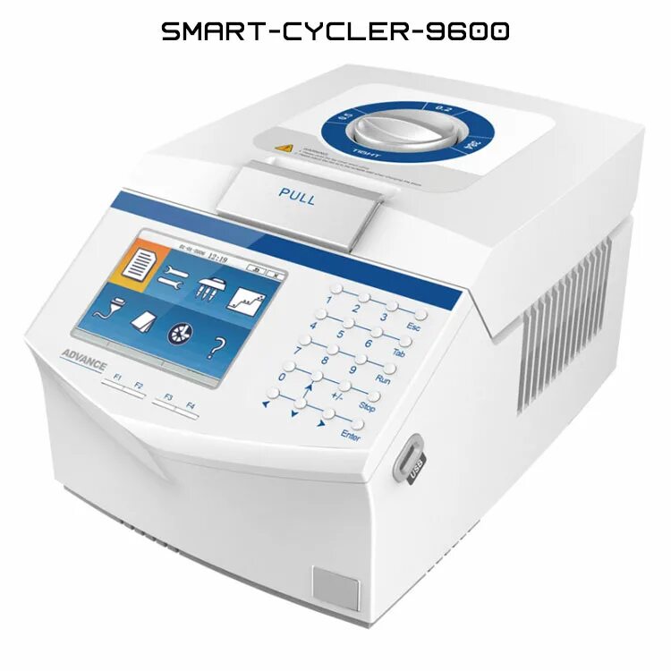 Амплификатор zenless. Амплификатор cfx96. амплификатор bio rad t100. днк амплификатор. амплификатор пцр.