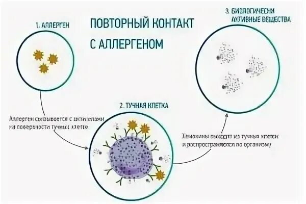 Накопительная аллергия