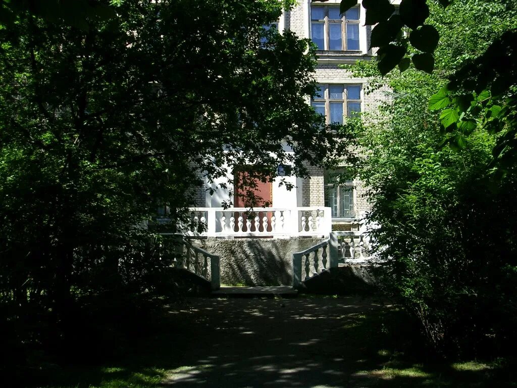 школа 438 приморского района. школа 438 лисий нос директор. школа 438 приморского района лисий нос. школа 438 приморского района лисий нос. школа лисий нос.