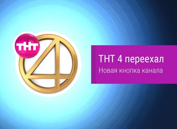 Канал тнт 4 на сегодня