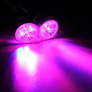 Dual lighting