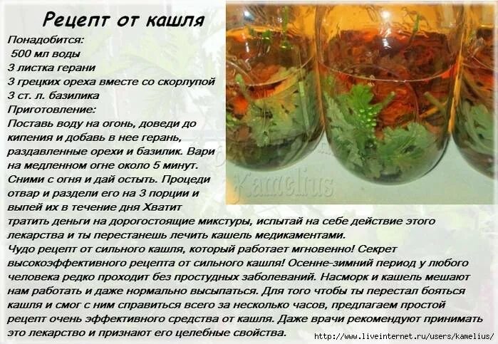 Народные средства от кашля. Наружные средства от кашля. Рецепт от сильного кашля. Рецепты от кашля в домашних. Чем можно вылечить кашель в домашних