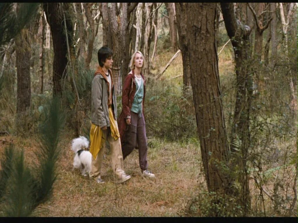 дэвид патерсон мост в терабитию. мост в терабитию 2007. мост в терабитию дженис эвери. мост в терабитию лесли и джесс. мост в терабитию сюжет.