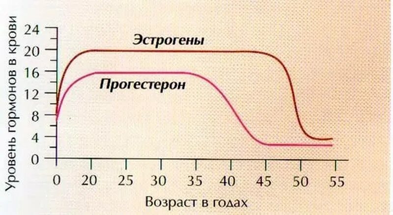 Уровень половых гормонов. Уровень эстрогена у женщин от возраста. Возрастные изменения уровня половых гормонов у женщин. Возрастные изменения уровней гормонов у женщин. Эстрогены после 60