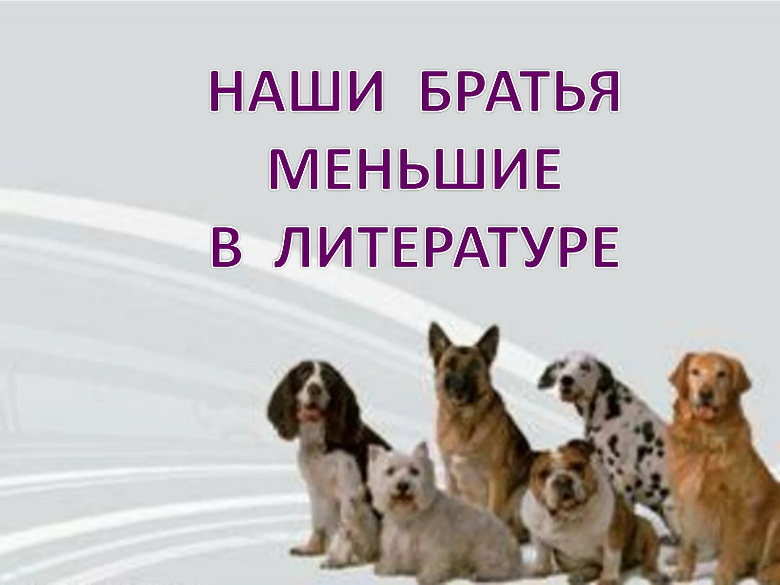 Творческая работа наши меньшие друзья. Братья наши меньшие. Проект братья наши меньшие. Братья наши меньшие презентация. Беседа братья наши меньшие.