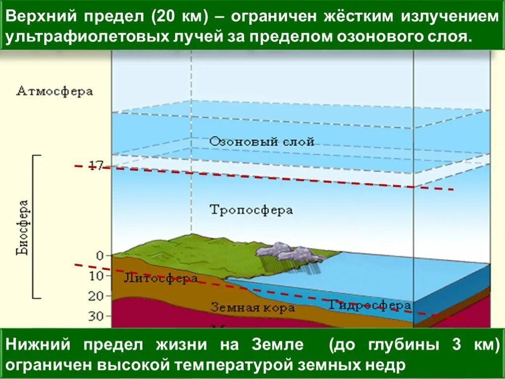 6 слоев жизни. Пределы жизни в биосфере. Каковы границы биосферы в литосфере. Границы распространения жизни в биосфере. Границы биосферы схема.