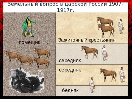 Середняки