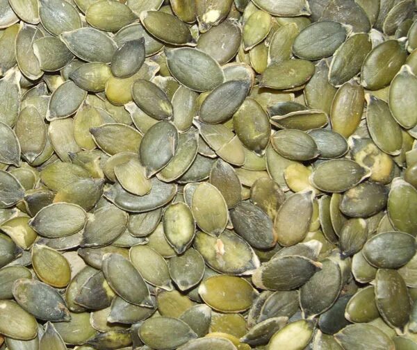 Семечки штирийской тыквы. Сорт тыквенных семечек без кожуры. Пленка от тыквенных семечек. Тыквенные семечки морским свинкам. Семечки тыквенные.