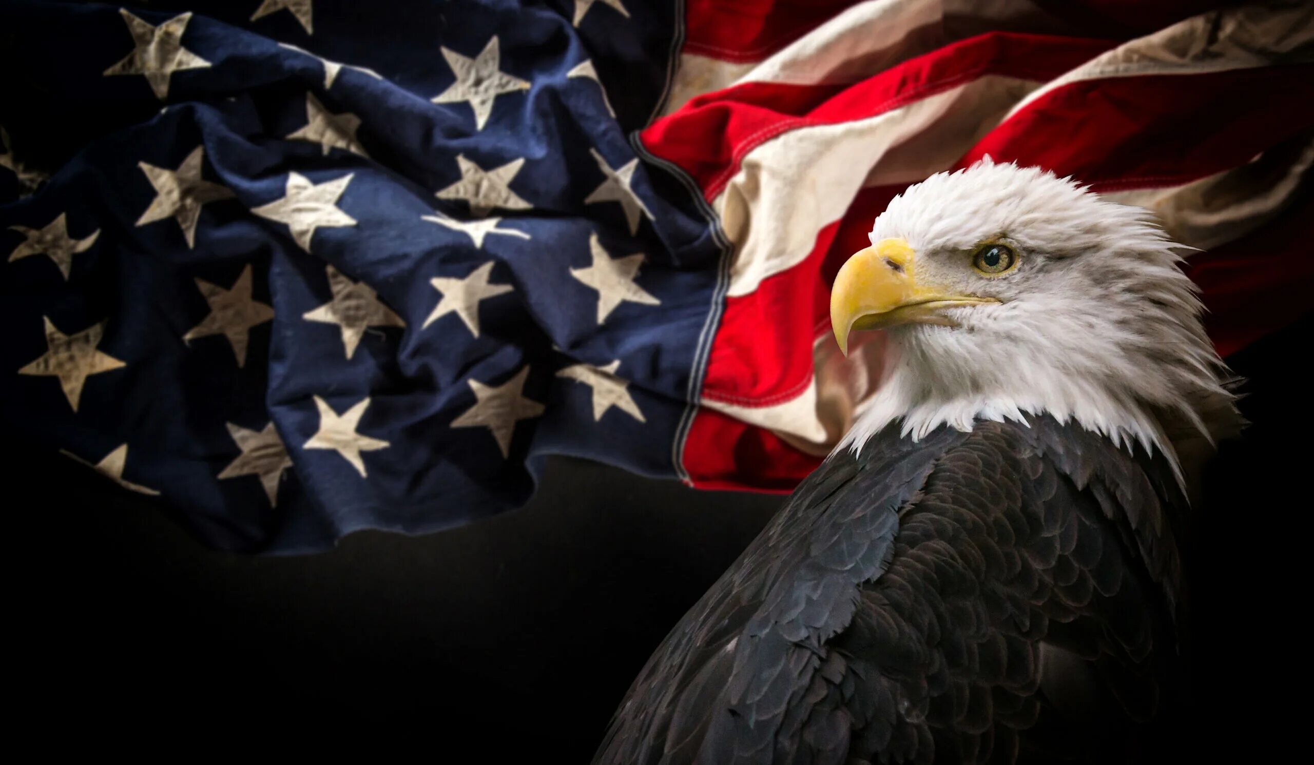 Североамериканский белоголовый Орлан. Белоголовый Орлан символ США. Орел символ Америки. Орел на фоне американского флага. Звук орла америка