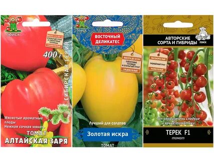 Томат зори