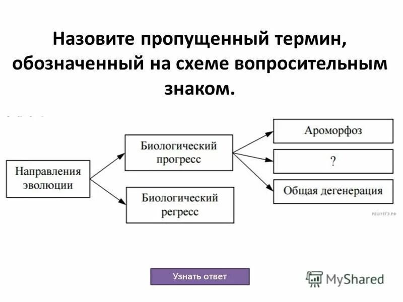 Где пропущено пропущенный термин. Рассмотрите предложенную схему регуляции дыхания. Где пропущено пропущенный термин. Запишите пропущенный термин обозначенный на схеме знаком. Рассмотрите предложенную схему запишите в ответе пропущенный термин.
