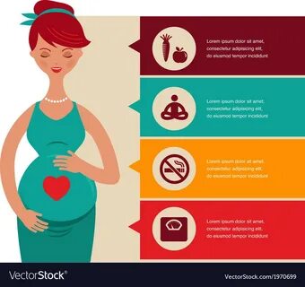 Pregnancy and birth infographics icon set vector image on VectorStock.